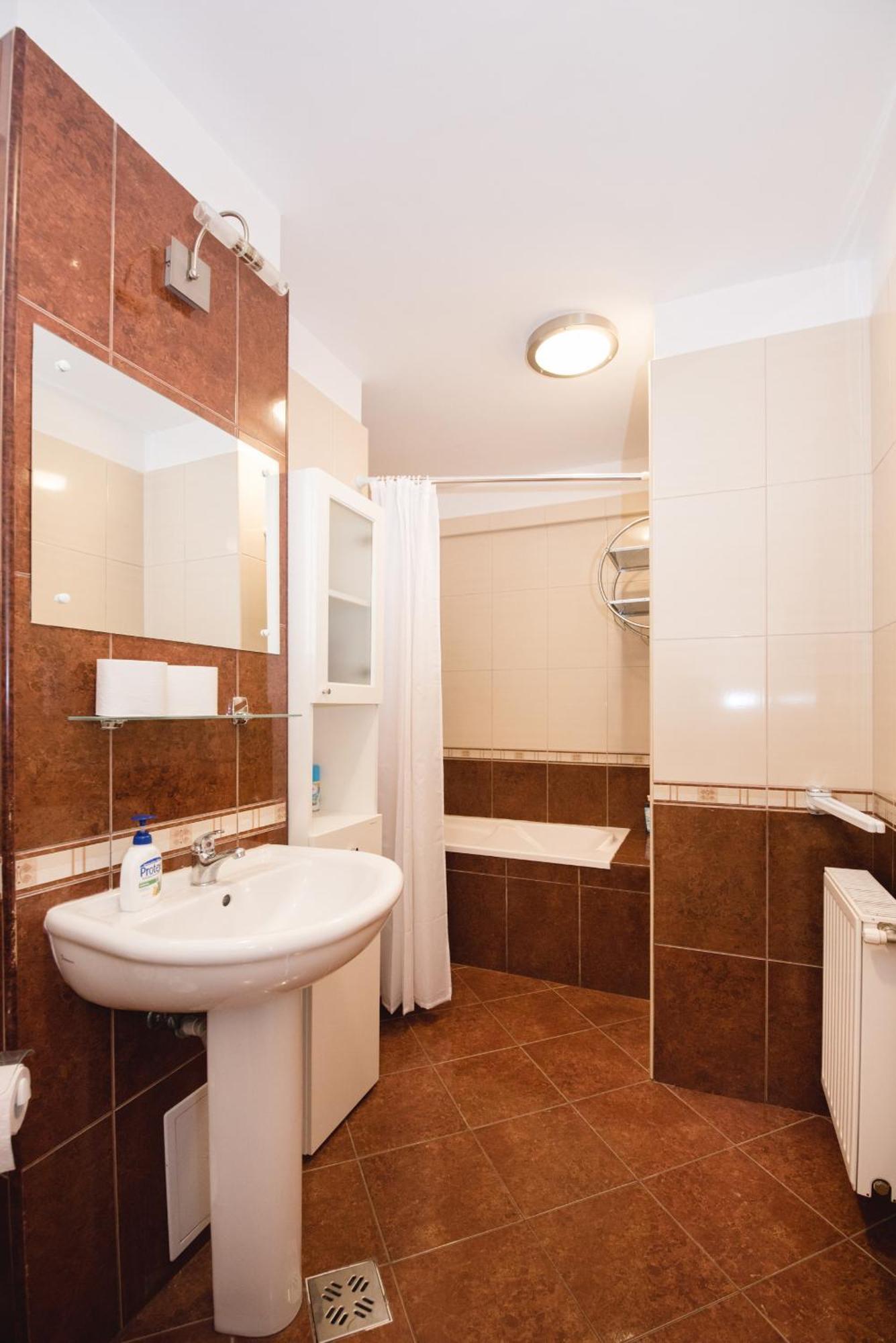 Oltului Apartment Braşov Dış mekan fotoğraf