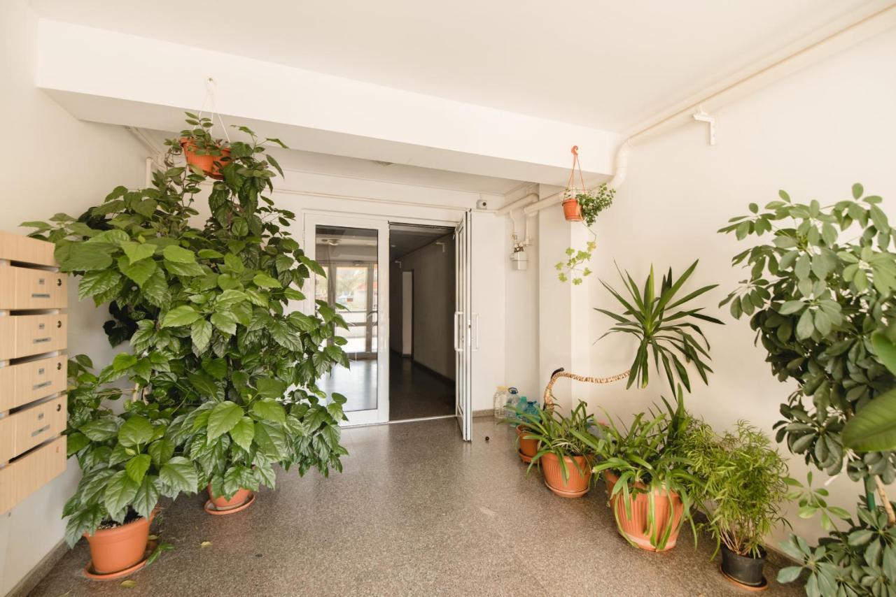 Oltului Apartment Braşov Dış mekan fotoğraf